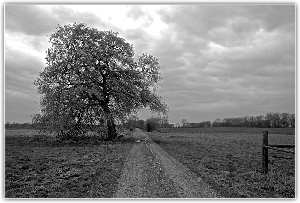 Blickwinkel