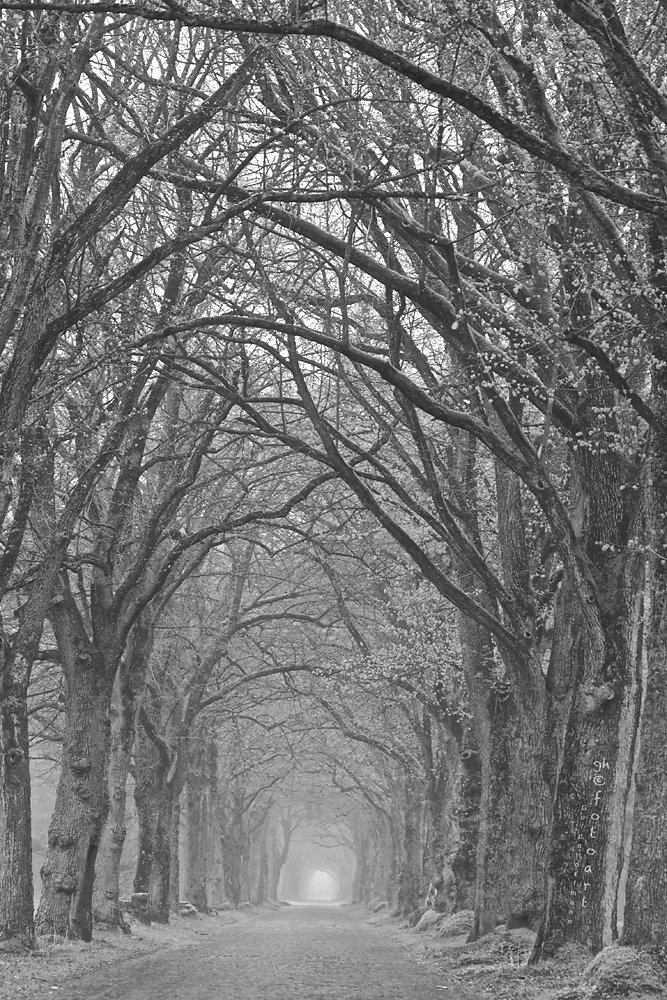 der Weg